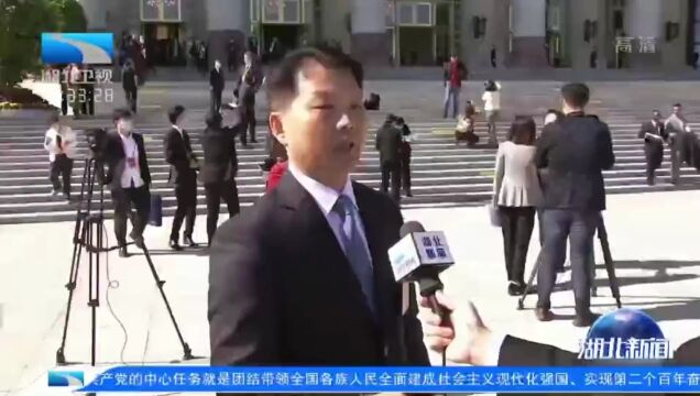 党的二十大代表 市委书记向斌热议报告