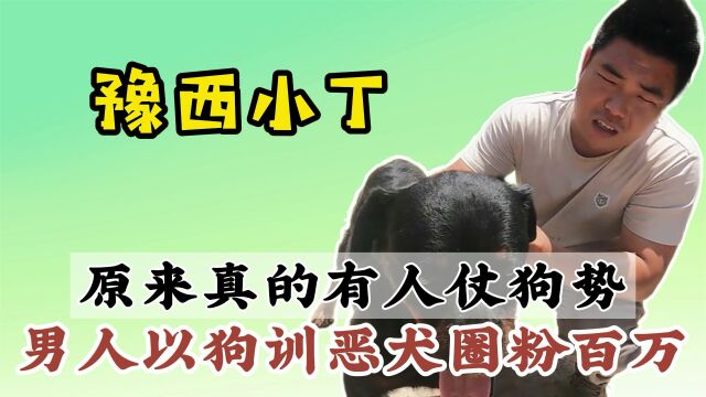 罗纳威犬有多厉害?恶霸犬被一掌拍傻,豫西小丁人仗狗势称霸狗场