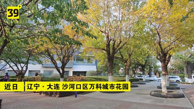 大连一小区外墙老化近400户渗漏 成功提取540万维修资金