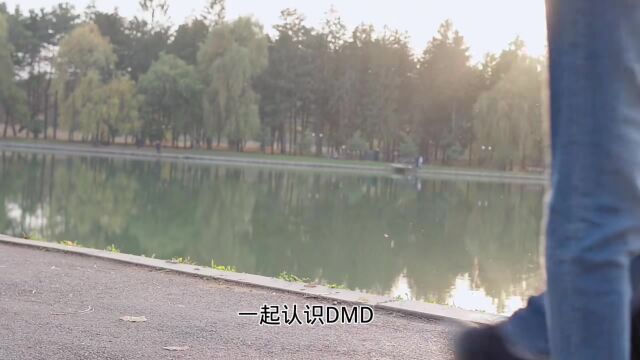 保元护肌方:一起认识DMD