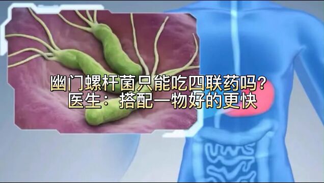 幽门螺杆菌只能吃四联药吗?医生:搭配一物好的更块