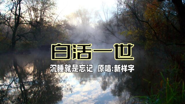 新样字《白活一世》的背景故事,睡几年再几年,醒来再几年