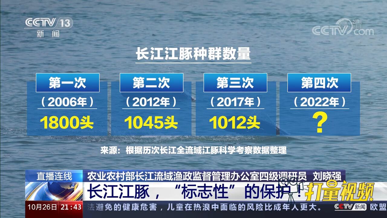 长江江豚的第四次“人口普查”情况怎样?专家回应