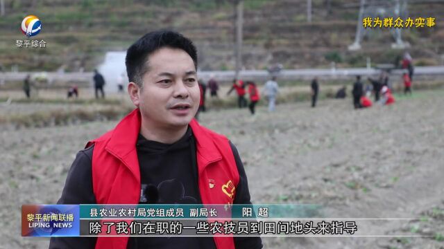 黎平:发挥党员示范作用 带动秋冬种生产