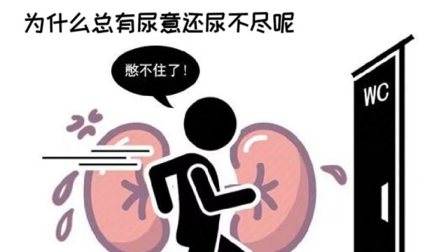 为什么总有尿意还尿不尽呢