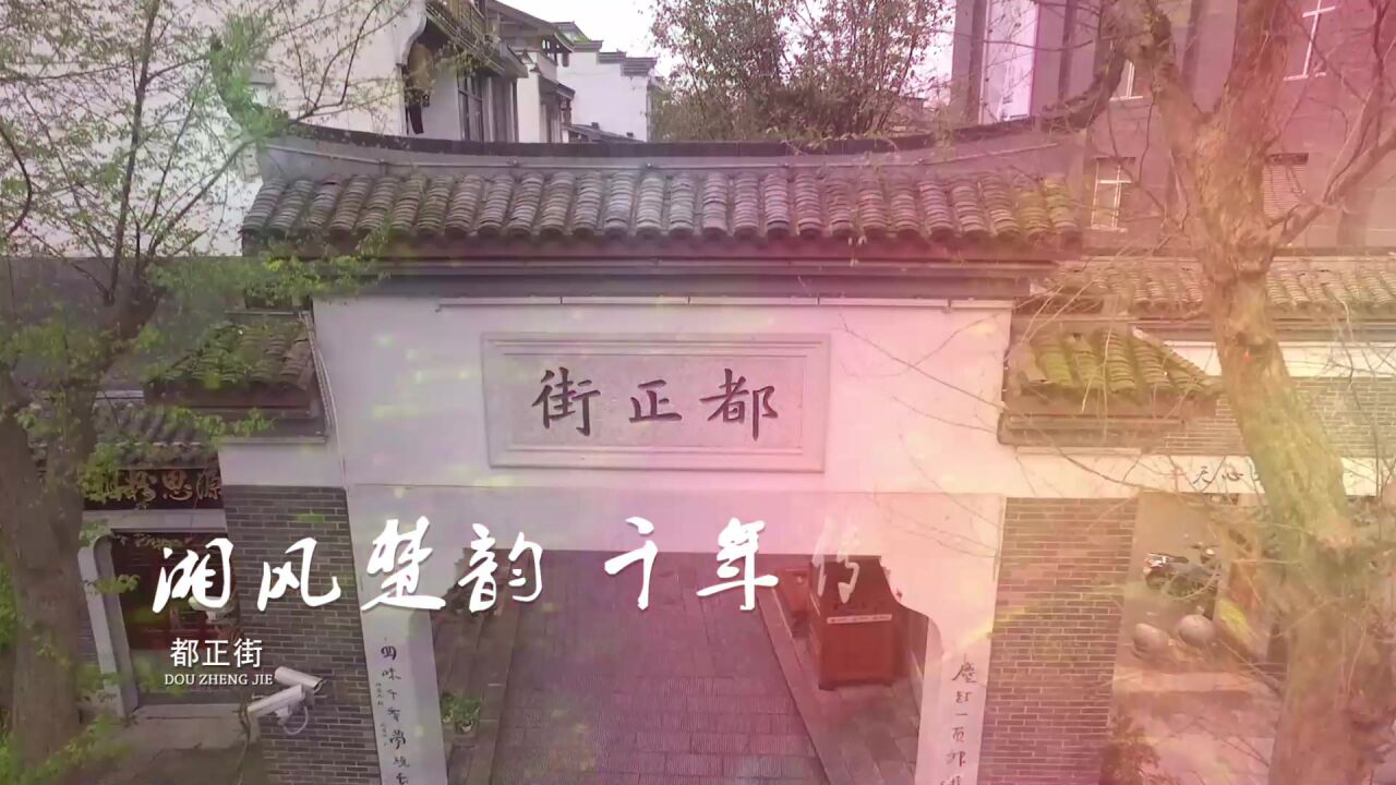 2022首届长沙旅发大会丨芙蓉花开 等你来赏