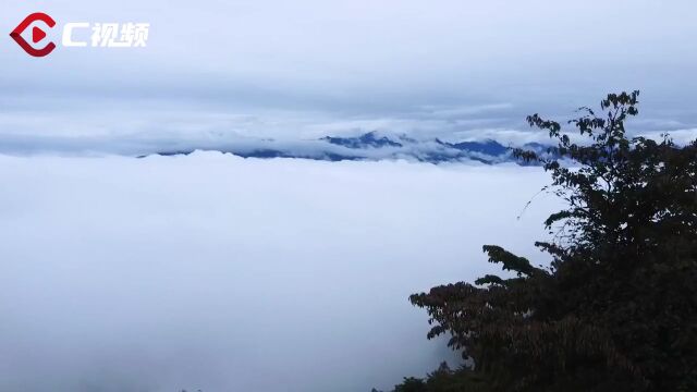 唐家河看“变”⑥丨官帽山:高山变通途 绝美风光待客来