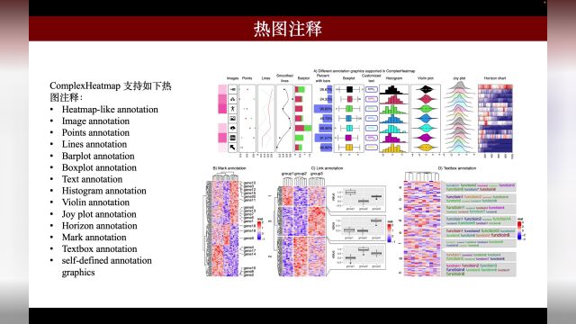 iMeta | 复杂热图(ComplexHeatmap)可视化文章最新版,画热图就引它