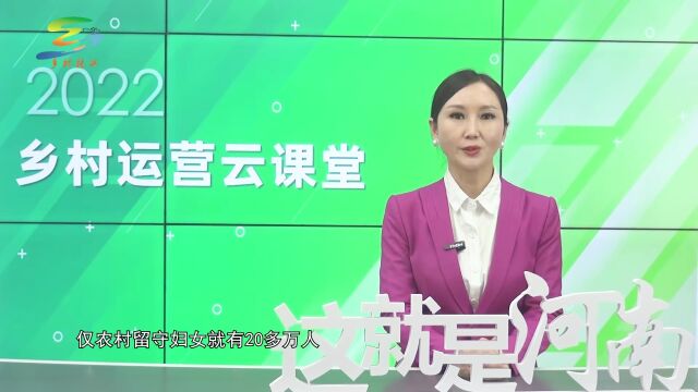 河南省推进乡村与振兴:乡村运营师云课堂(下)