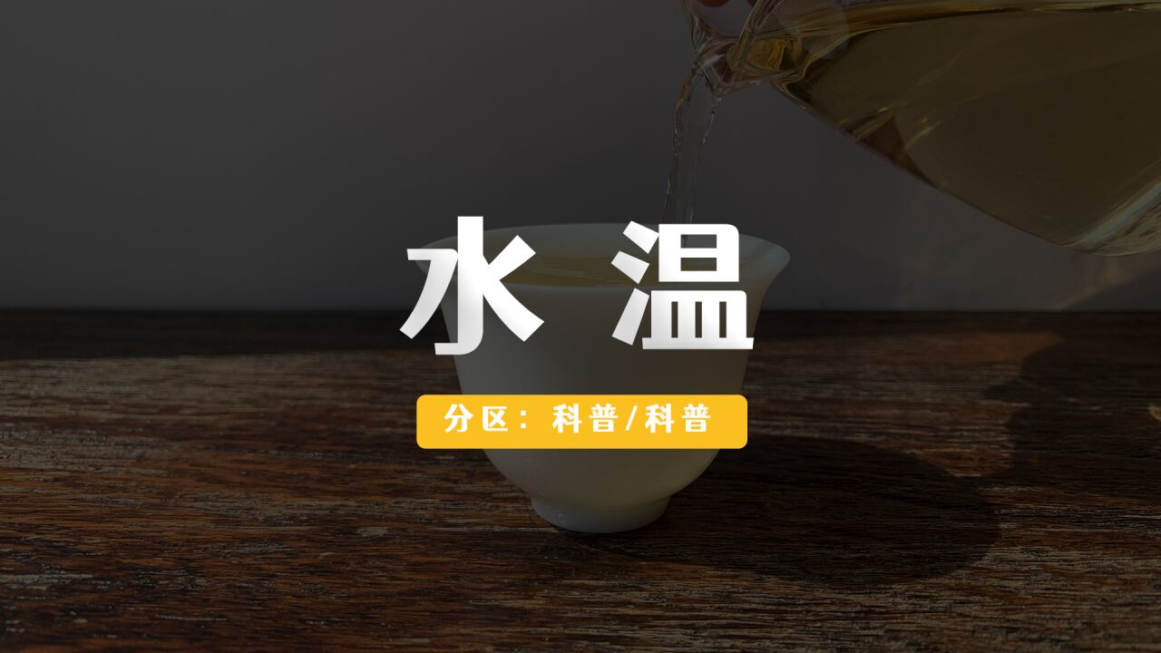 【五问五答】泡茶的水温,让你不再纠结