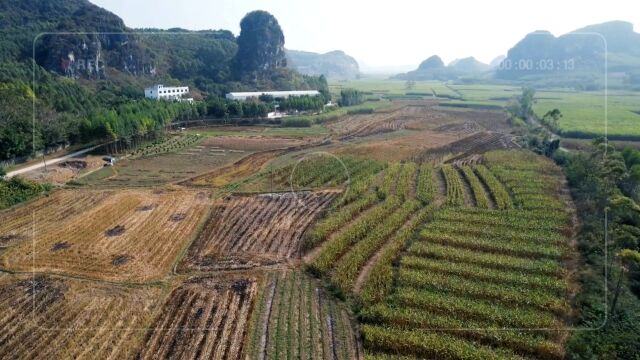 治愈系乡野田园风景