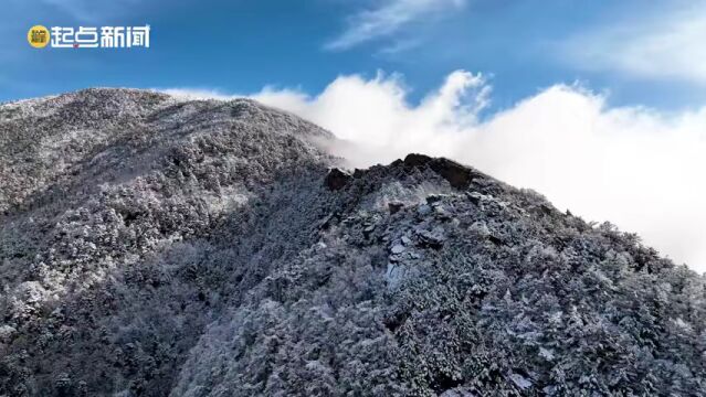 西安新增22个高风险区 | 局地大到暴雪!陕西省气象局最新通报【更多新闻速览戳↓↓】