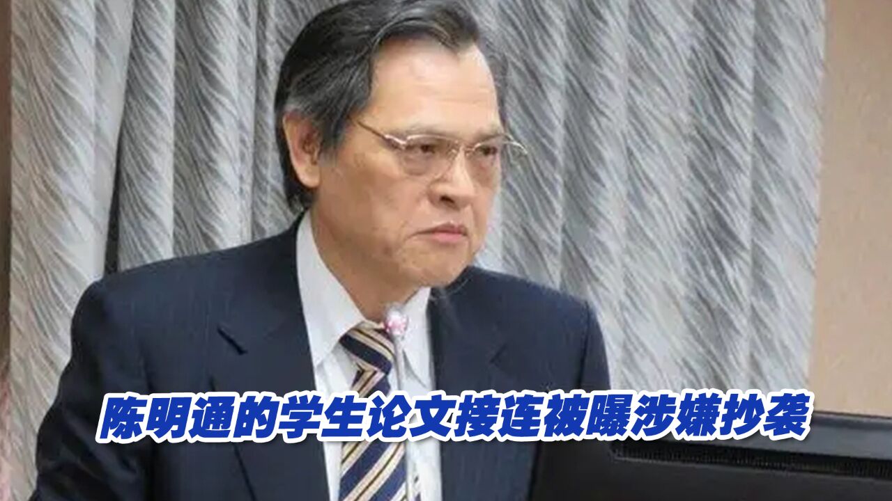 张友骅:若彻查陈明通学生的论文,民进党定“血流成河”