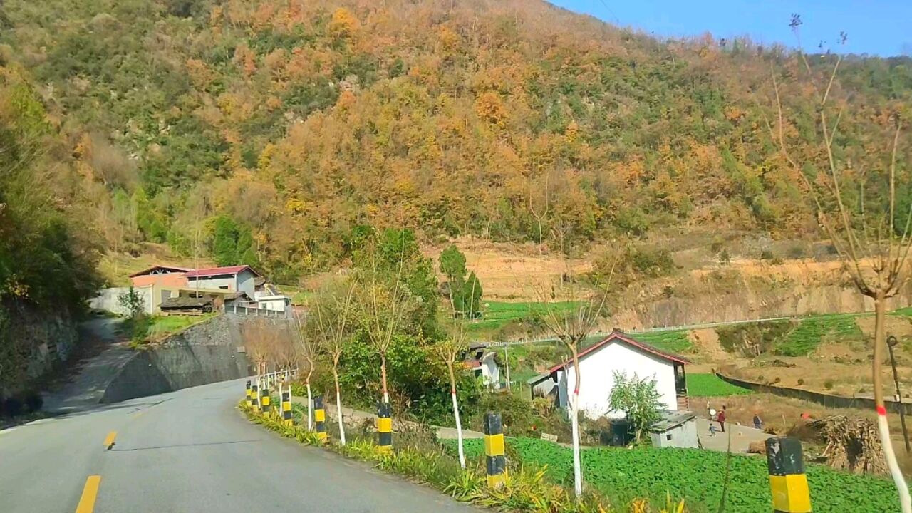 随意在乡间路上跑跑,沿途都是好风景,心随景动格外舒畅