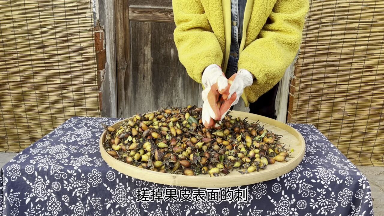 山上遍地的野生金樱子,当地人采摘回来泡酒,好处挺多可以试试