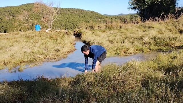 哀牢山之约:淡看人生的潮起潮落,笑对世间的荣辱与共.