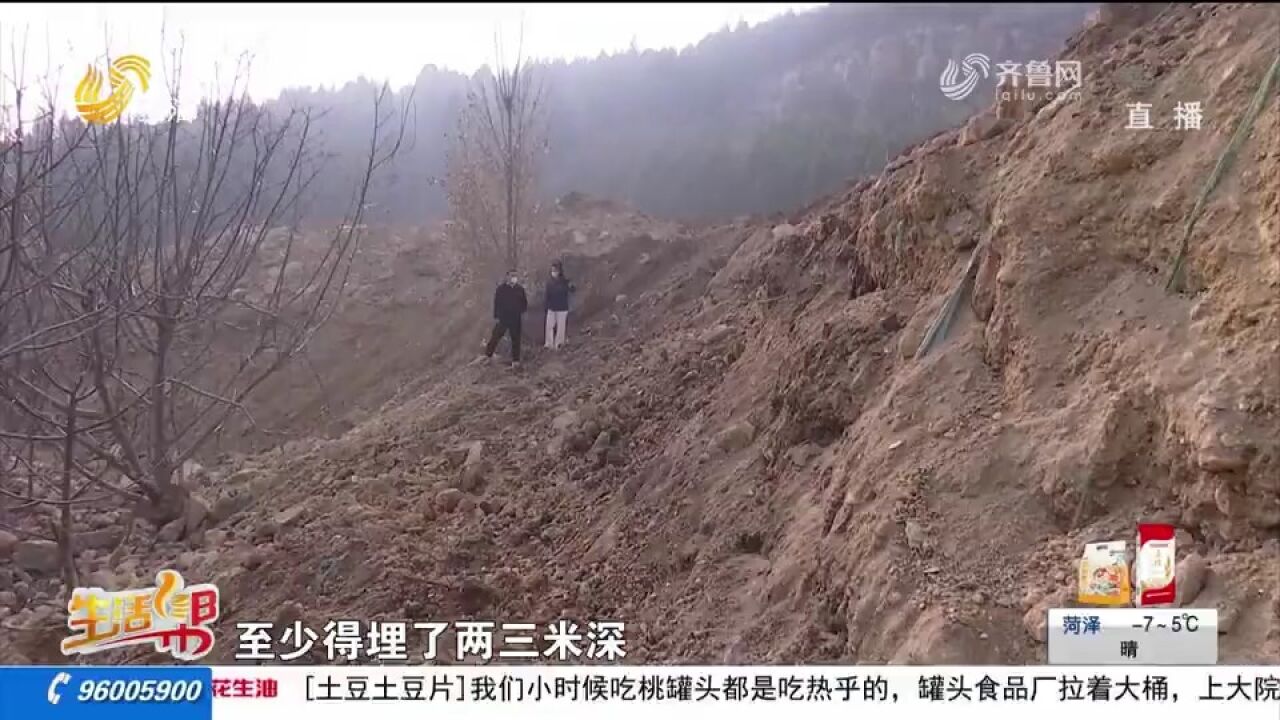 心疼!核桃地被渣土掩埋,村民损失惨重,曝光后相关部门出面协调