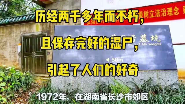 历经两千多年而不朽,且保存完好的湿尸,引起了人们的好奇#传承古代文化欣赏中国历史