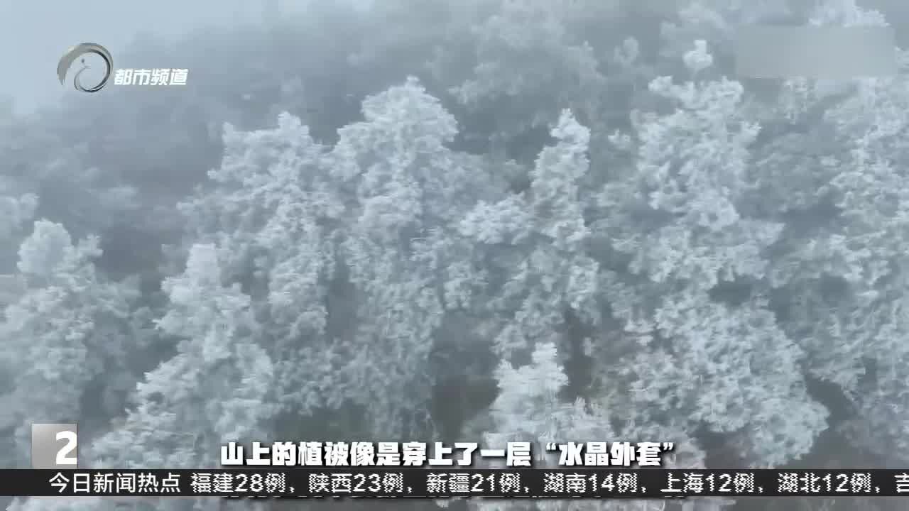 大雪节气 你那里下雪了吗?