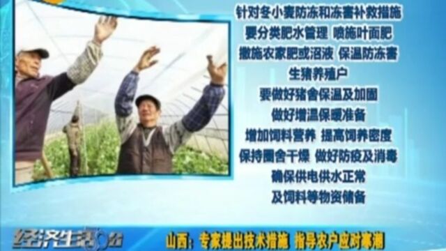 山西:专家提出技术措施,指导农户应对寒潮