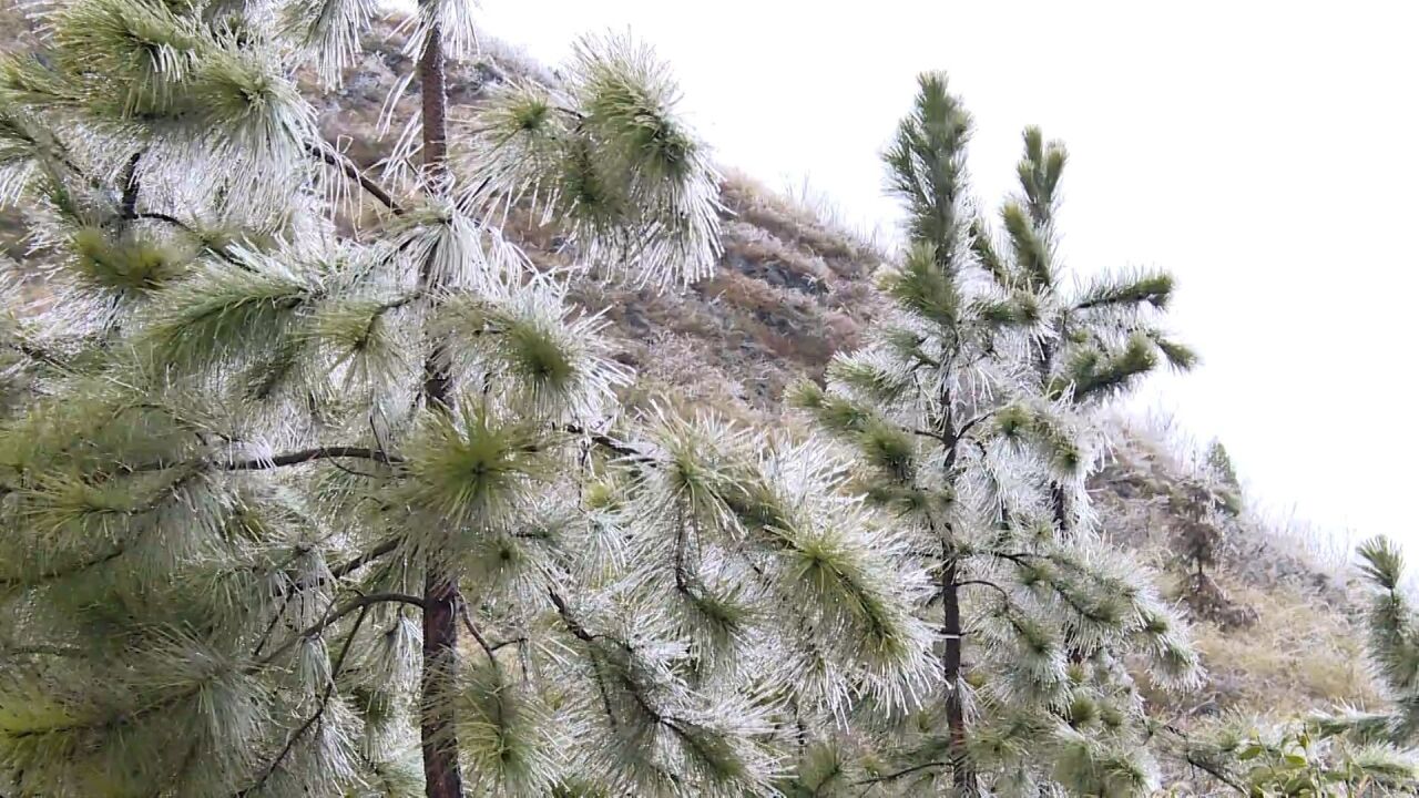 广东将普遍迎来5℃以下低温,粤北将迎降雪