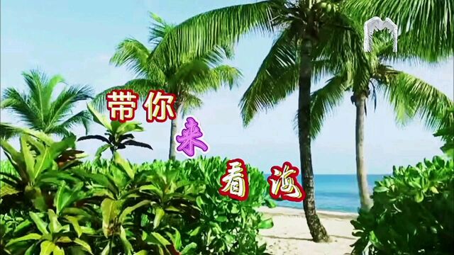 海岸风景秀丽更有美女点缀