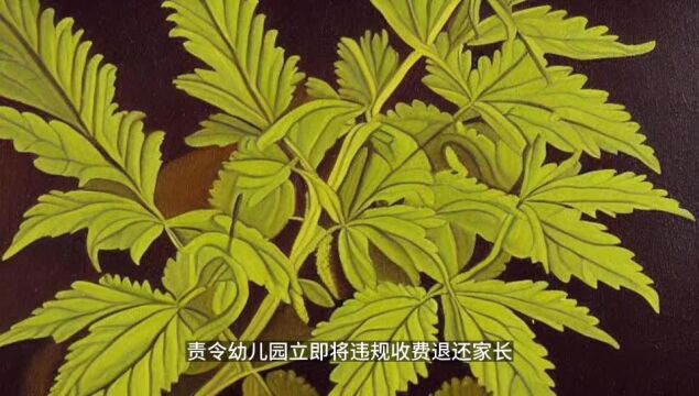 三河教委对汇佳幼儿园处理意见2022年度办学情况评定为不合格