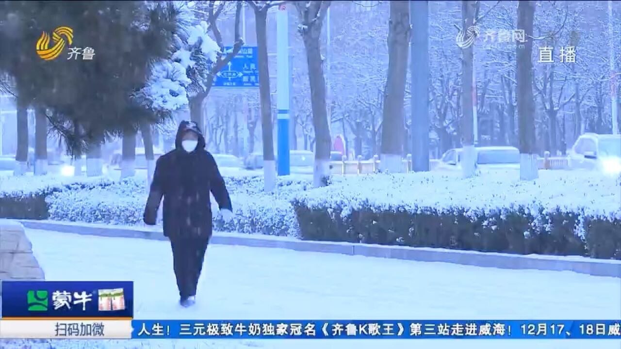 烟台迎今冬首场大范围降雪,供电部门加强巡检,防寒护网温暖过冬