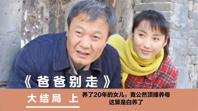 大结局 上|养了20年的女儿,竟公然顶撞养母,这算是白养了