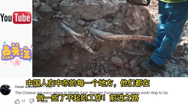 老外热议中国为卡塔尔建造的太阳能发电站,印度网友:不是中国公司是印度的