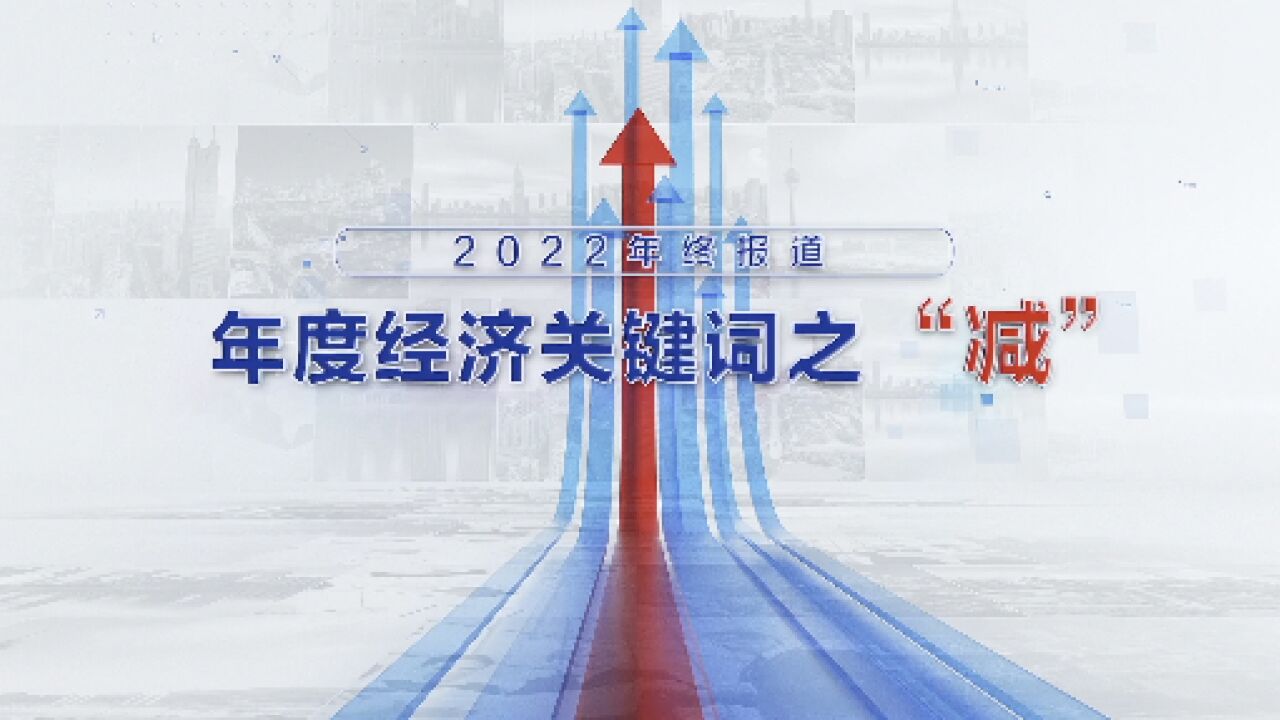 2022年终报道 | 年度经济关键词之“减”