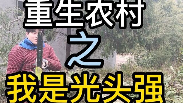 重生农村之我是光头强