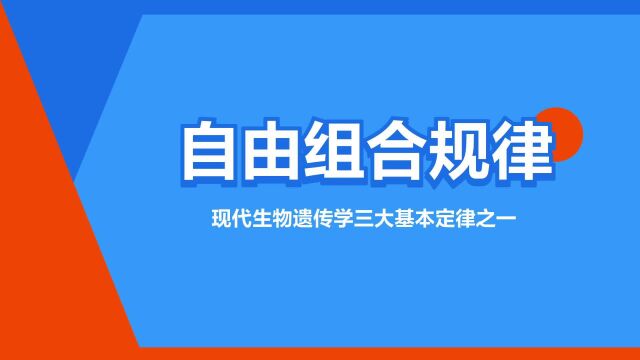 “自由组合规律”是什么意思?