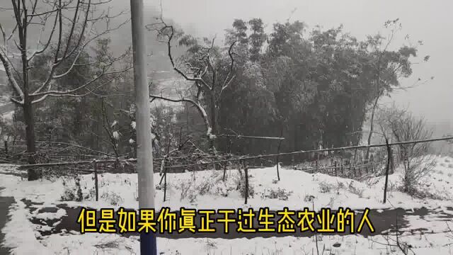 农民是一种职业,而不是一种身份,农民的未来一定代表食品安全#三农小分队 #网络扶贫我们在路上 #最美农村 #有机农业