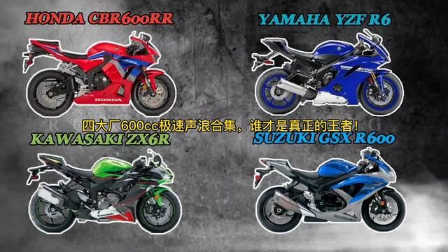 四大厂600cc声浪极速对比 谁才是真正的王者呢? #机车 #声浪 #雅马哈 #铃木 #川崎