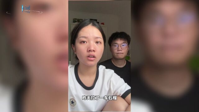 女子送货被收货方扇脸锤头:郑州中牟警方行拘3人,其中1人有孕不予执行