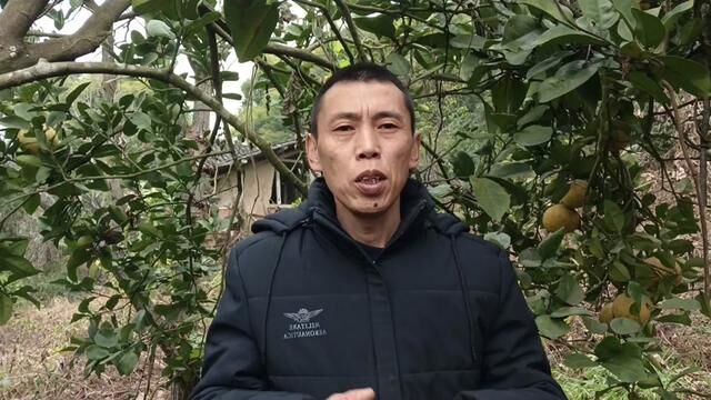 蛋群弱群蜜蜂如何春繁?七哥给你5个建议,蛋群繁殖事半功倍 #农业知识 #三农服务 #农技推广 #养蜂技术 #农业技术