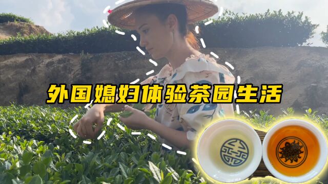 外国媳妇来到乡村体验茶园生活,感受一杯好茶的来之不易.