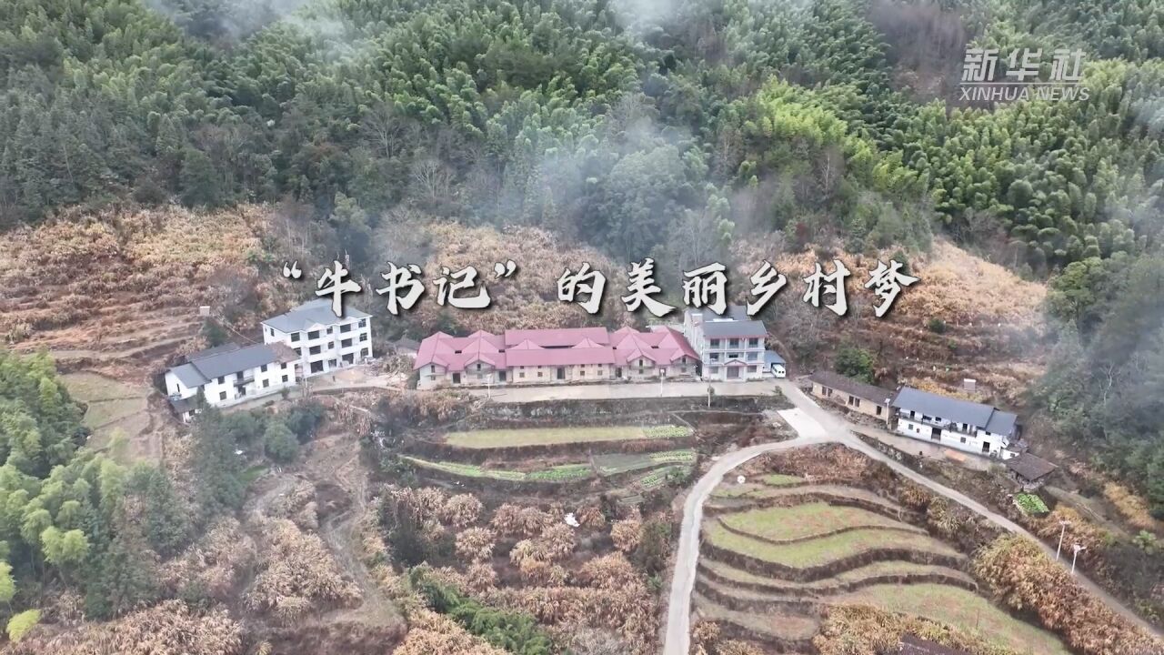 新春走基层丨“牛书记”的美丽乡村梦