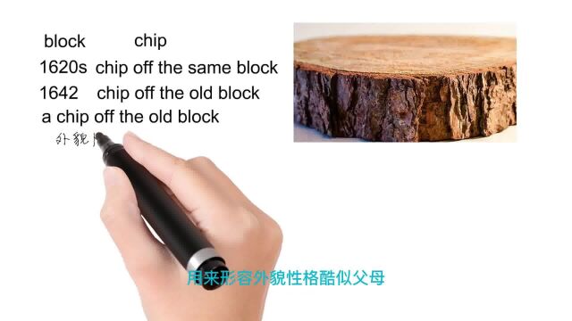 英语思维解密,为什么a chip off the old block外貌性格酷似父母,轻松学英语