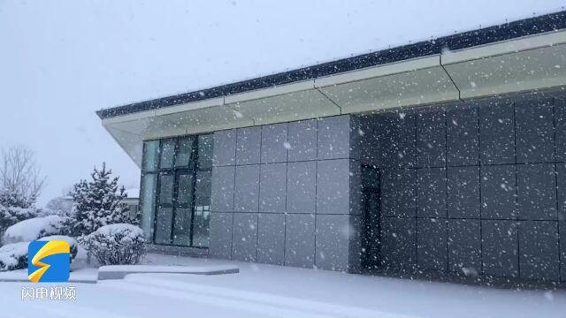 “氛围感”十足!查收威海文登区慢镜头雪景