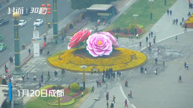 “花开盛世”!成都天府广场芙蓉花迎春雕塑 等你春节去打卡