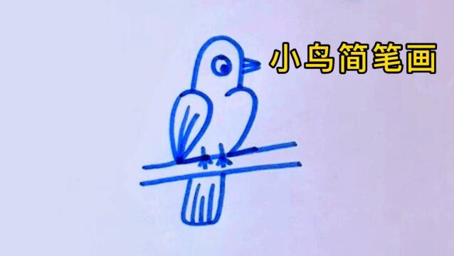 这样画的小鸟一学就会