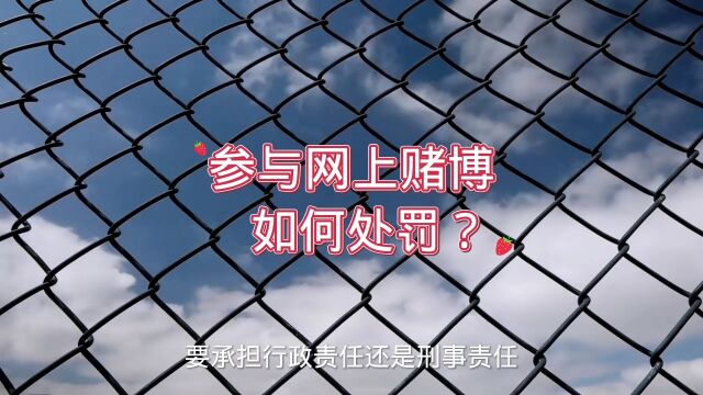 保定律师:网络赌博如何处罚?保定刑事律师