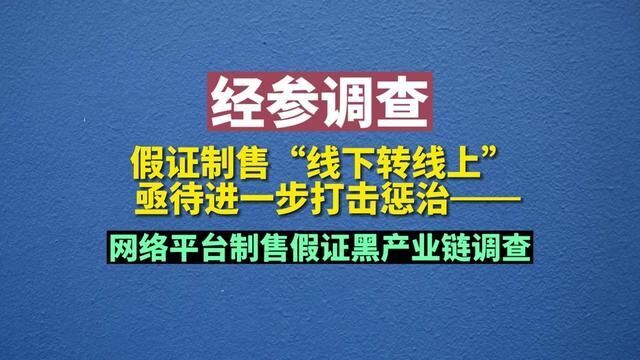 网络平台制售假证黑产业链调查:假证制售“线下转线上”,亟待进一步打击惩治,记者,吴文诩,薛晨,实习生,郝文