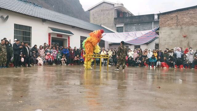 桂北传统走众亲民俗活动中的舞狮子表演