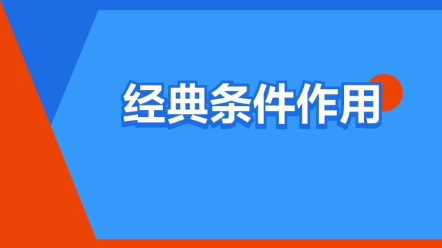 “经典条件作用”是什么意思?