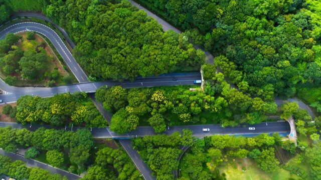 一路一景翠微大道