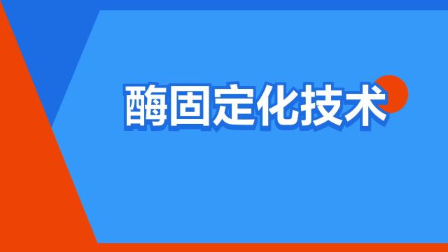 “酶固定化技术”是什么意思?