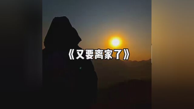 希望这一年的我们努力前行不负期望. #最美夕阳 #孤之君